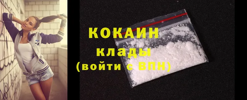 COCAIN Fish Scale  Вологда 