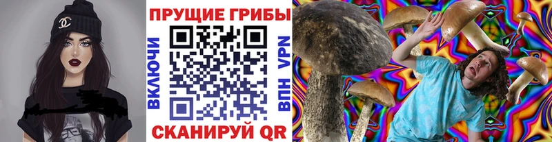 Псилоцибиновые грибы Psilocybine cubensis  где купить наркоту  Вологда 