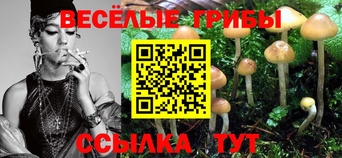 Вологда  Галлюциногенные грибы Psilocybe  Вход с VPN 