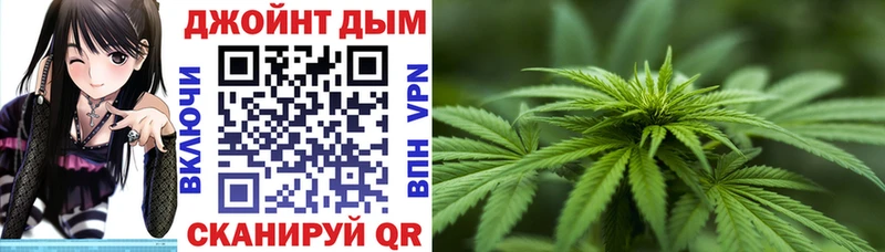 где найти наркотики  Вологда  Шишки марихуана гибрид 